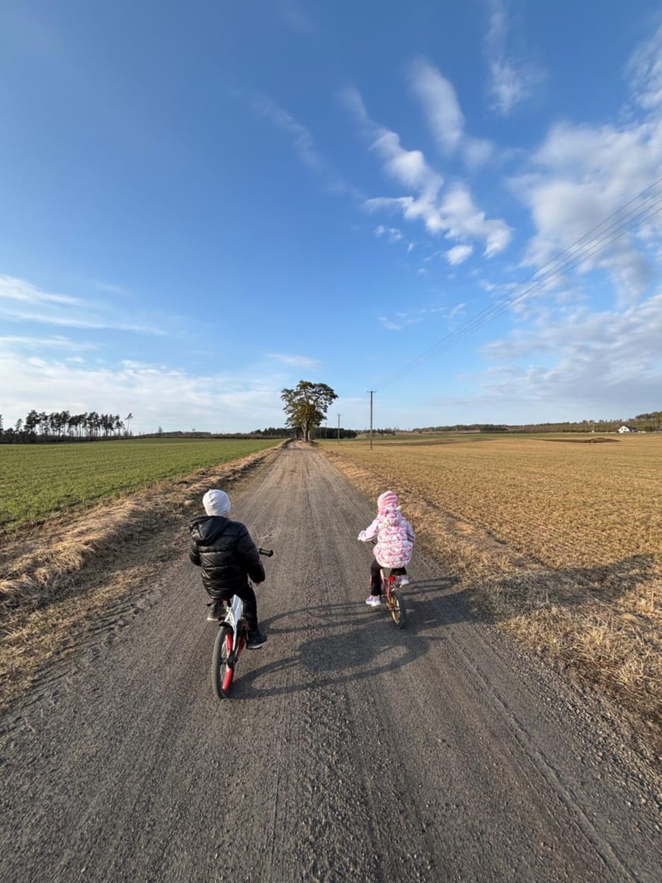 Neighbourhood, Natural landscape