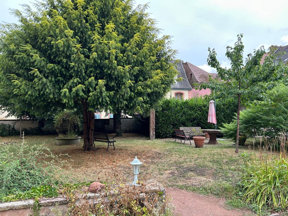 Le belvédère au cœur de Saverne Apartment in Grand Est