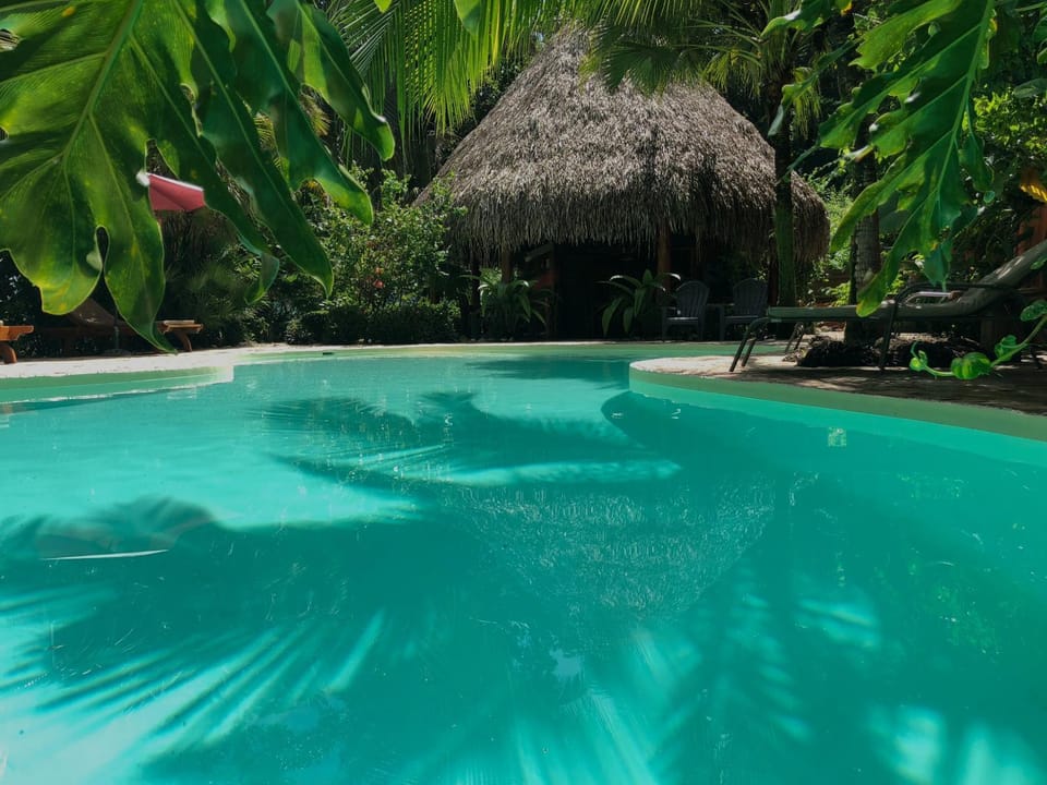 Restaurant/places to eat, Garden, Lobby or reception, Lounge or bar, Swimming pool