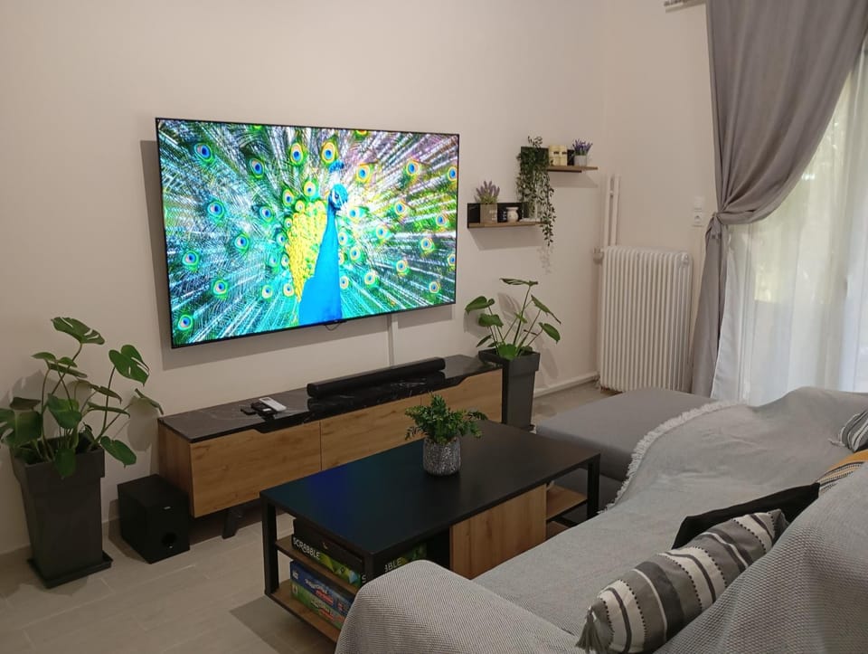 TV and multimedia, Seating area, Evening entertainment