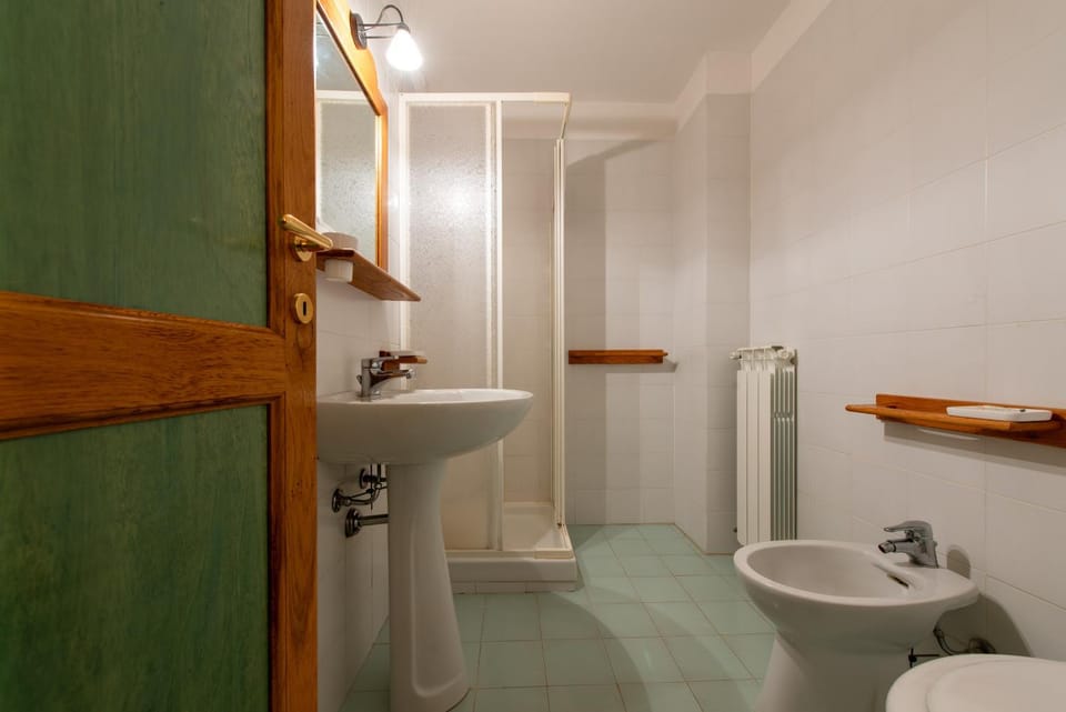 Shower, Toilet, Bathroom, bidet