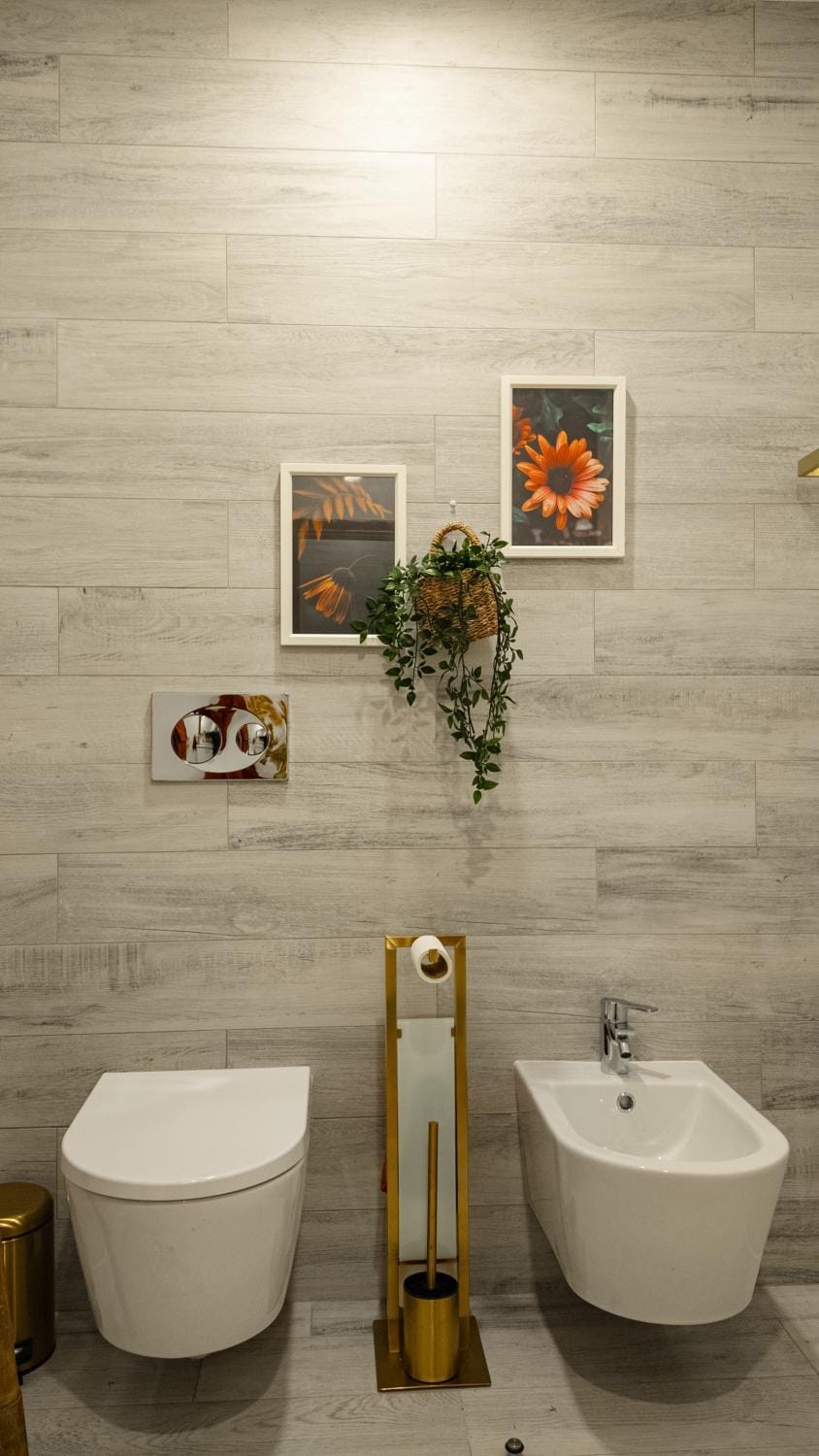 Bathroom, Living room