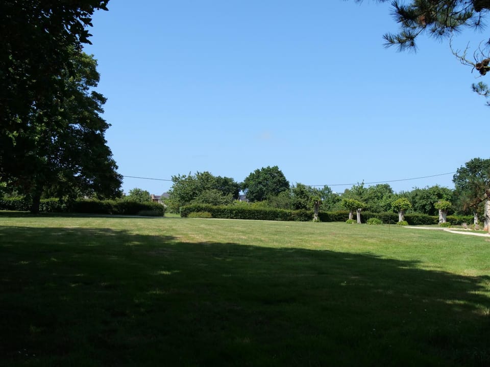 Natural landscape, Garden, Garden