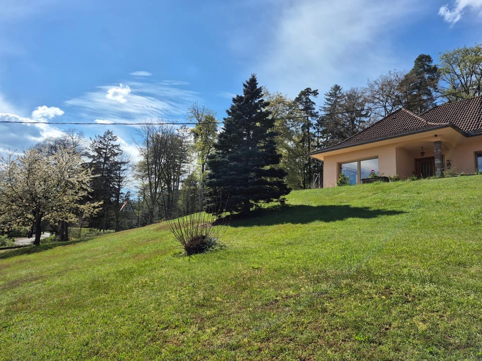 Villa Bellevue - Chez Oma House in Grand Est