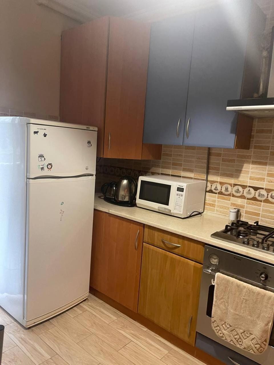 Затишні апартаменти Apartment in Lviv