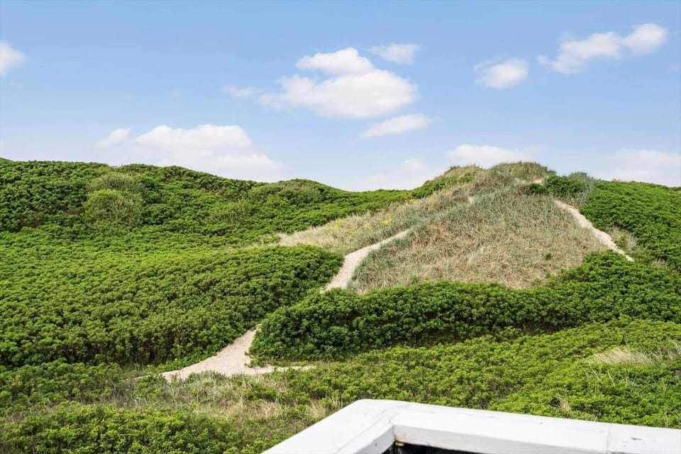 1165-Ringkobing-Lodbergsvej-119 House in Søndervig