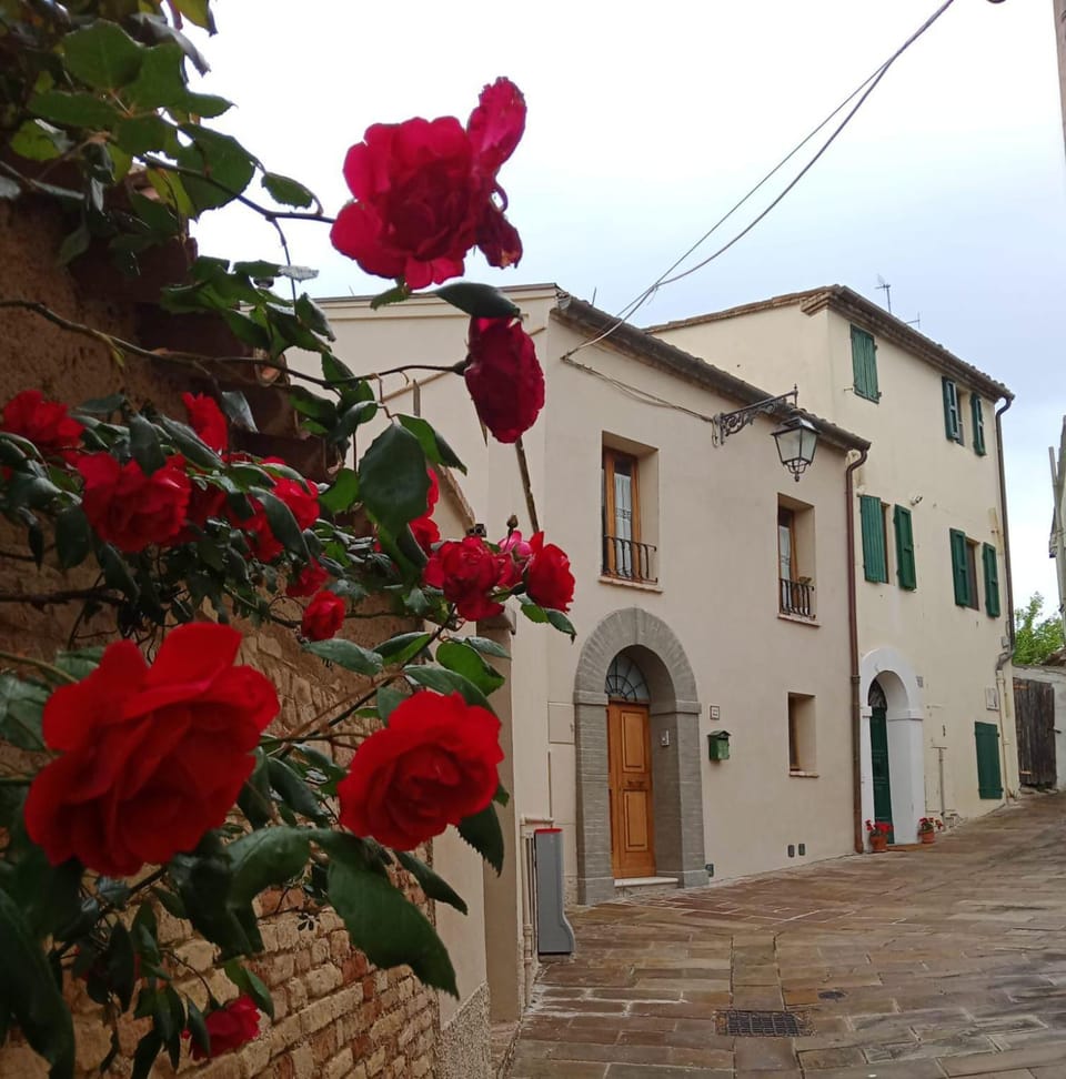 Il Pettirosso Bed and Breakfast in Marche