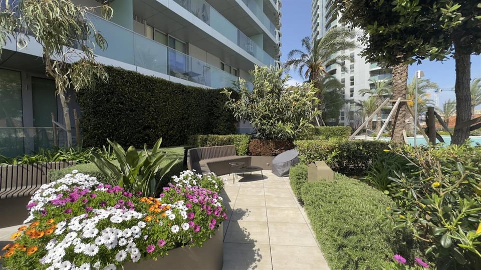 Garden, Garden, Garden view