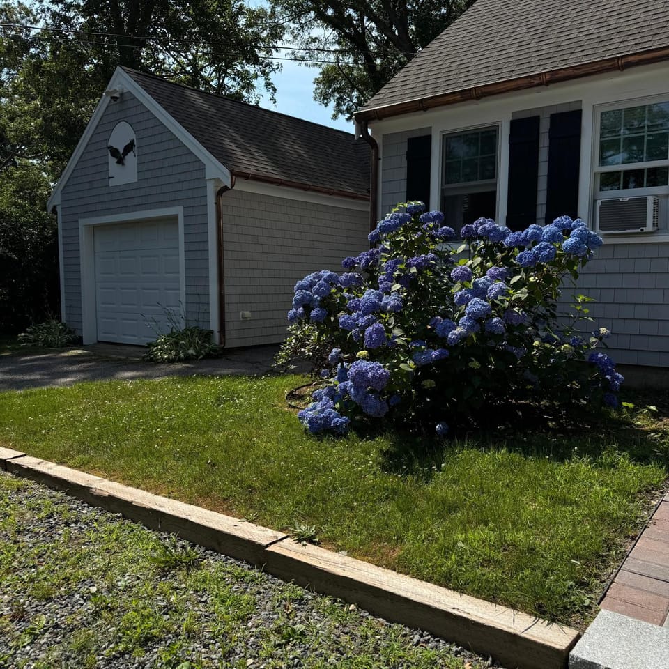 Property building, Spring, Day, Garden
