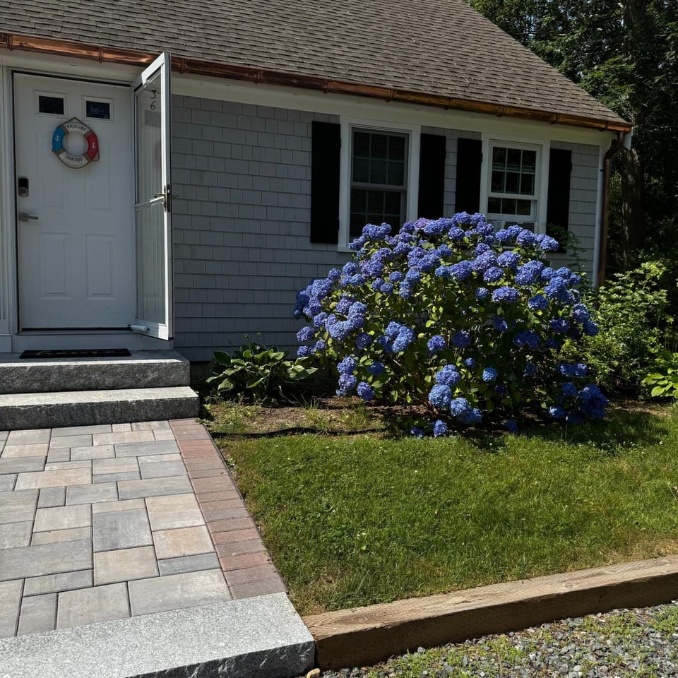 Property building, Spring, Day, Garden