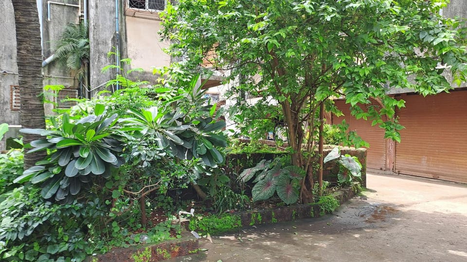 View (from property/room), Garden view