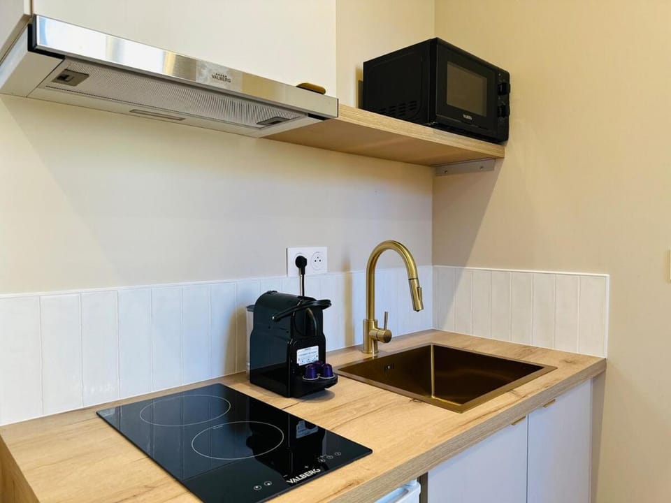 Le Petit Danton Apartment in Dijon