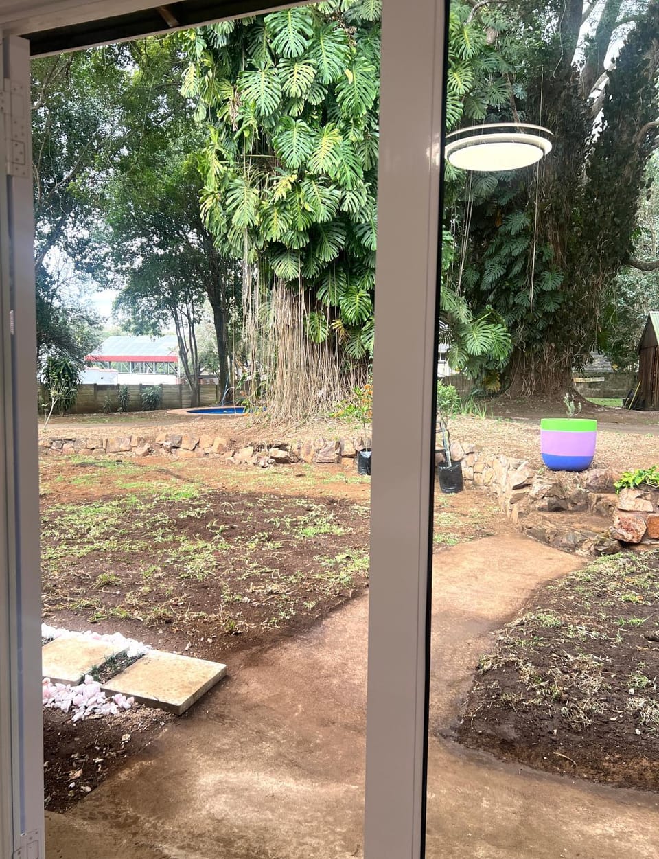 Garden view