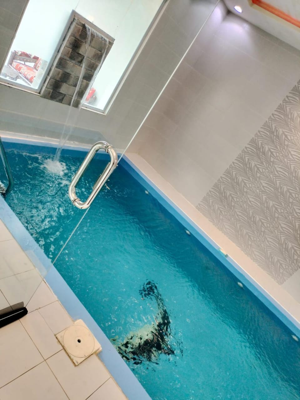 Pool view