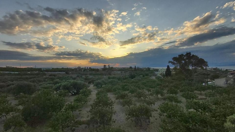 Natural landscape, View (from property/room), Balcony/Terrace, Sunrise