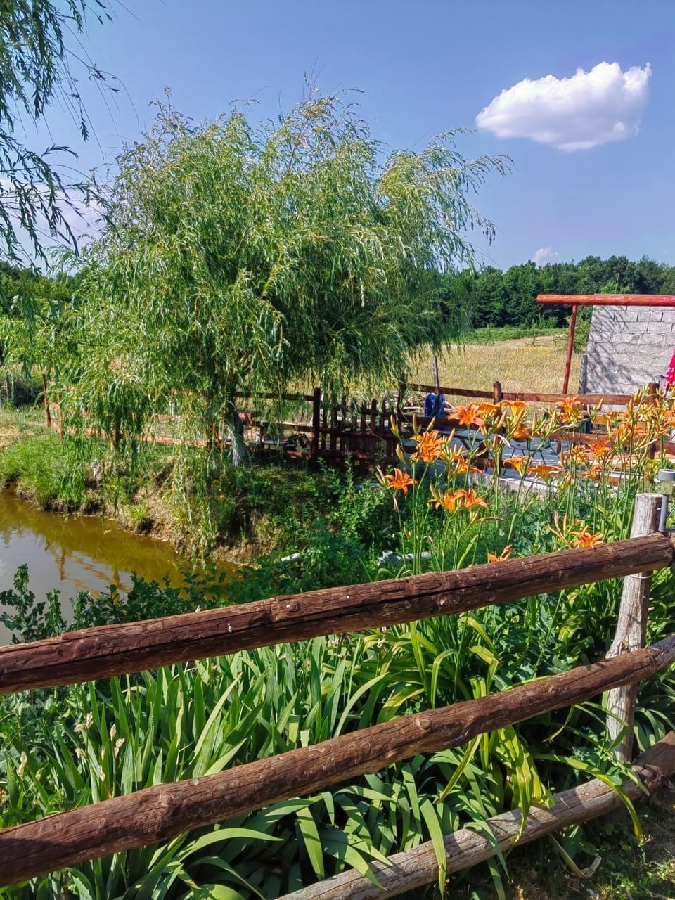 Cabana Annemarie House in Romania