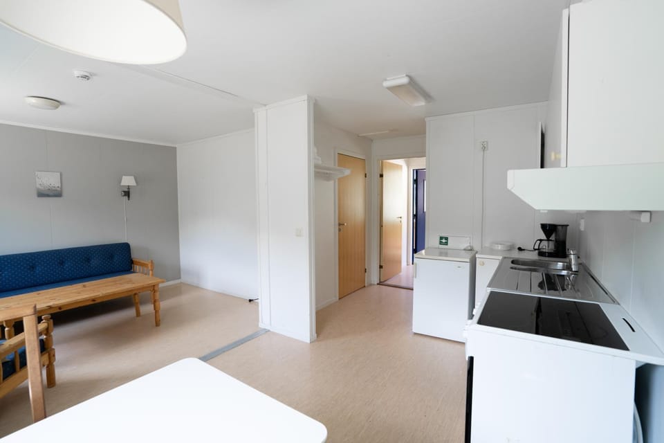 Kitchen or kitchenette, Living room, Photo of the whole room, Seating area, Dining area, oven, stove