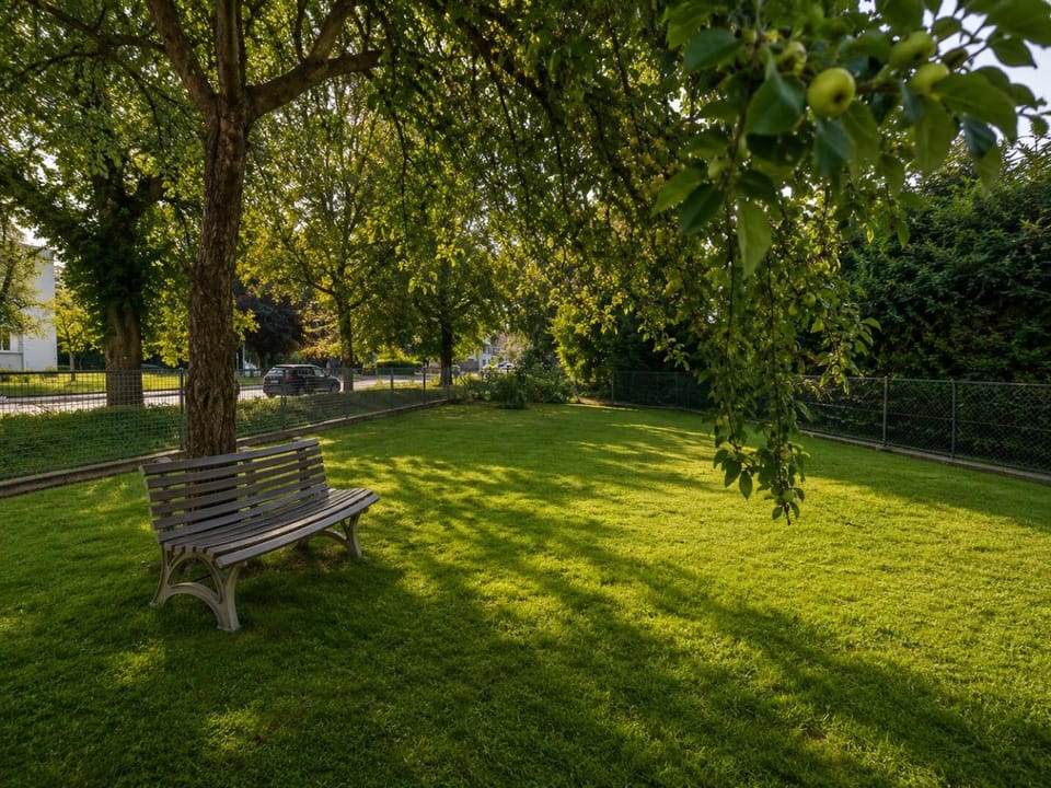 Garden, Garden view