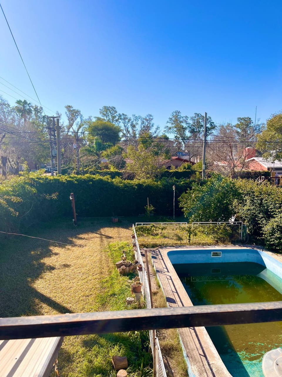 Day, Natural landscape, Garden, Garden, Garden view, Pool view, Swimming pool, Swimming pool
