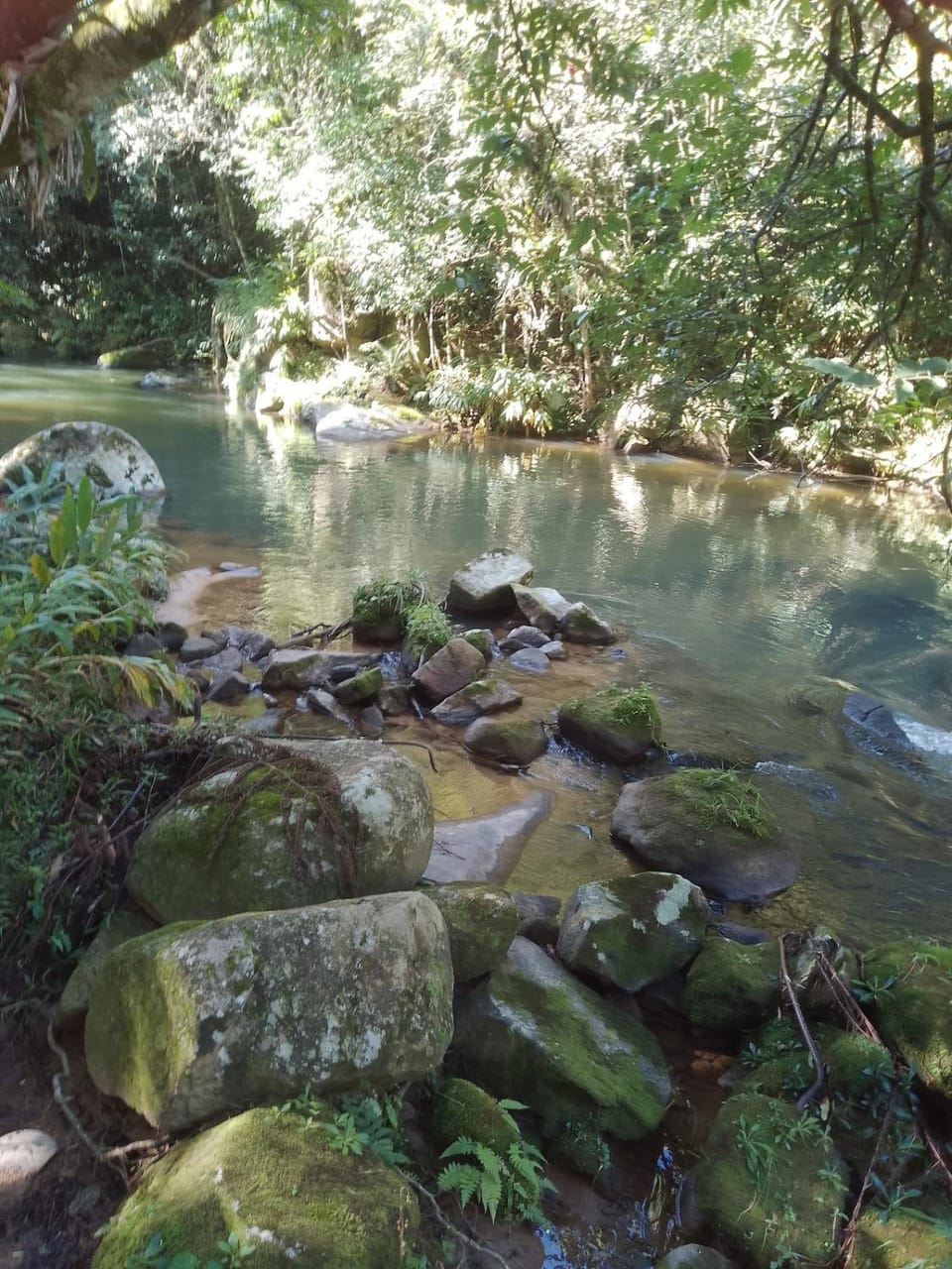 Day, Natural landscape, River view