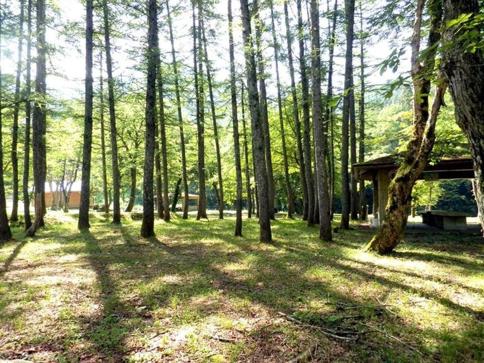 Izumi Maesaka Family Travel Village Maesaka Campsi - Vacation STAY 81023v Campground/ 
RV Resort in Japan