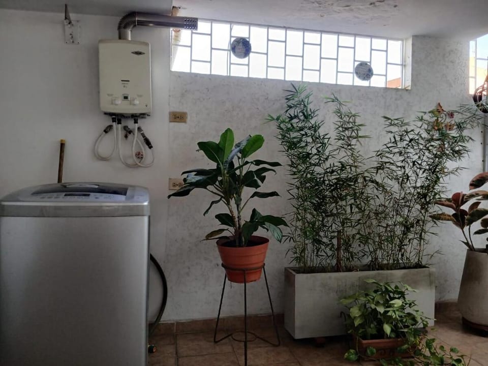 Patio, Inner courtyard view