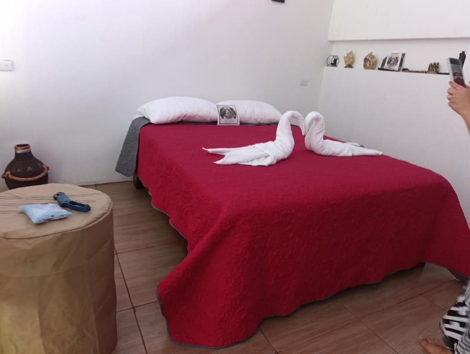 Bed