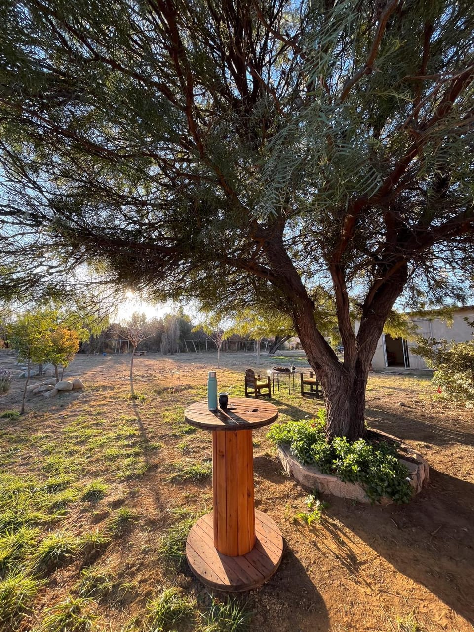 Day, Natural landscape, Garden