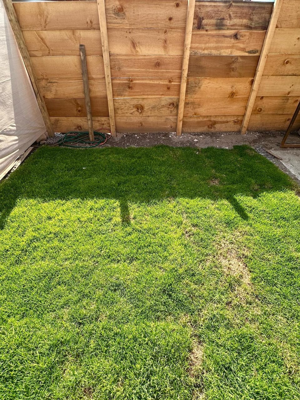 Day, Garden, Garden view, pet friendly