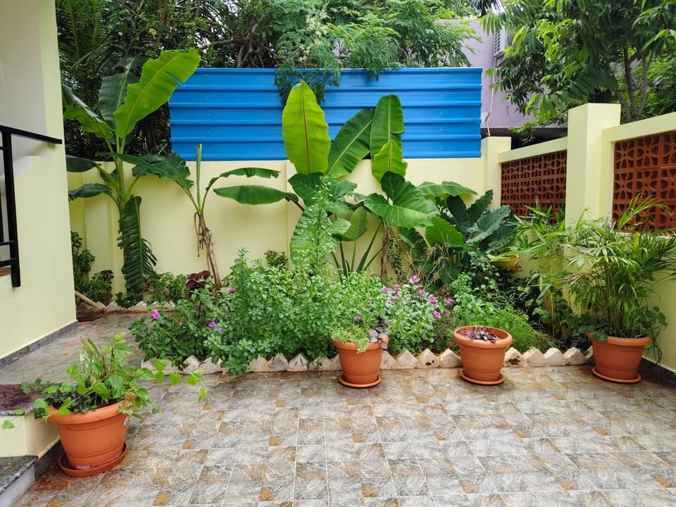 Garden, Garden view