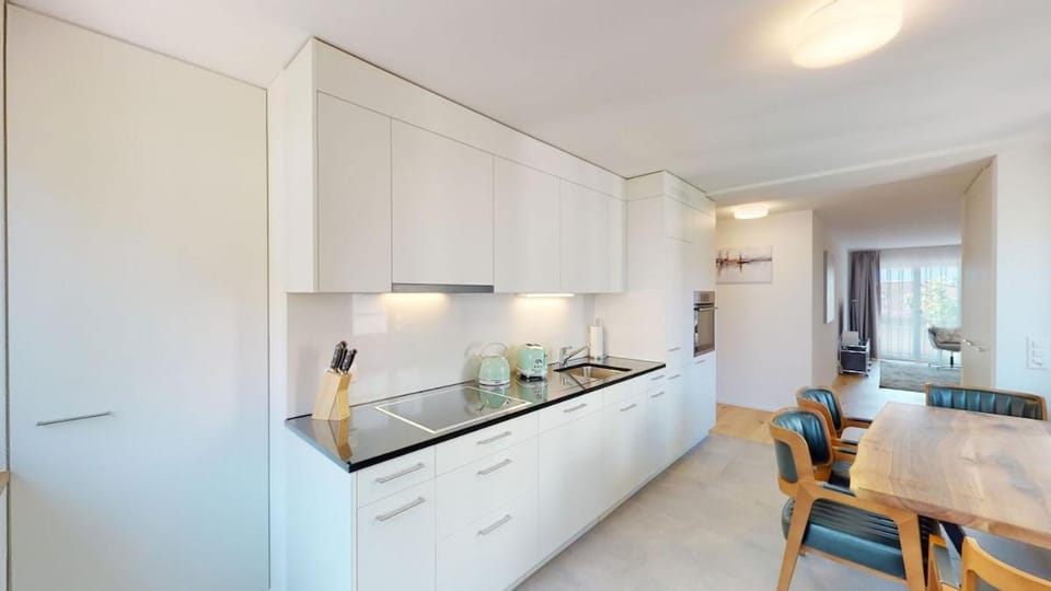 Central but quiet 1BR apartment - Sun 6 Apartment in Zurich City
