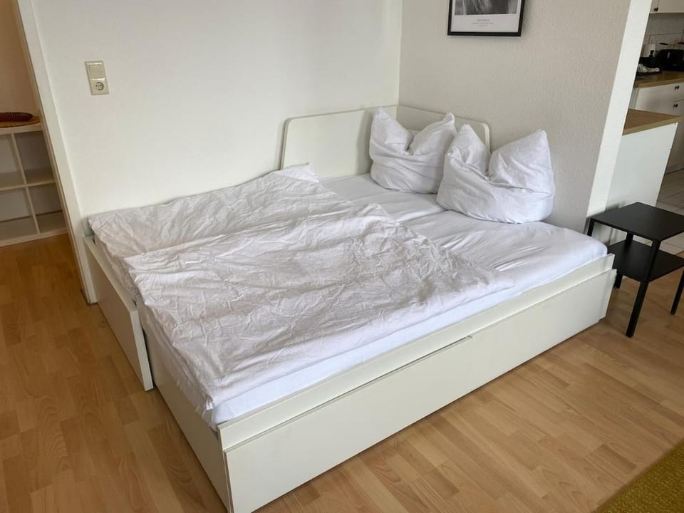 Modern, large 1-R apartment in a central location Apartment in Dresden