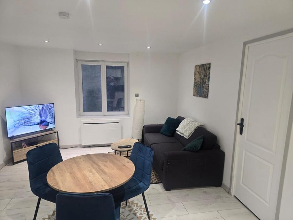 Nid du Paon - T2 Hypercentre Apartment in Saint-Étienne