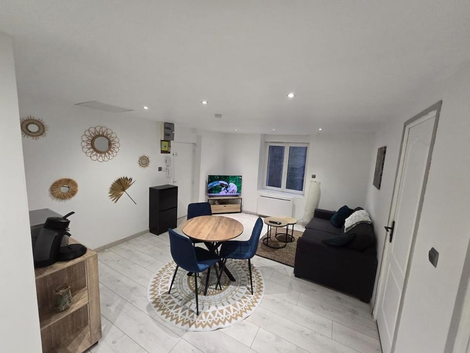 Nid du Paon - T2 Hypercentre Apartment in Saint-Étienne