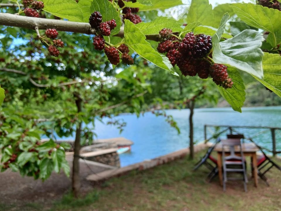 Bujtina Liqeni i Shkopetit Campground/ 
RV Resort in Europe