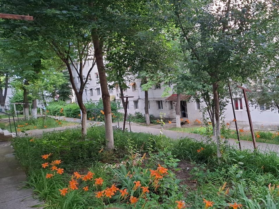 Dani Cute Apartment in Romania