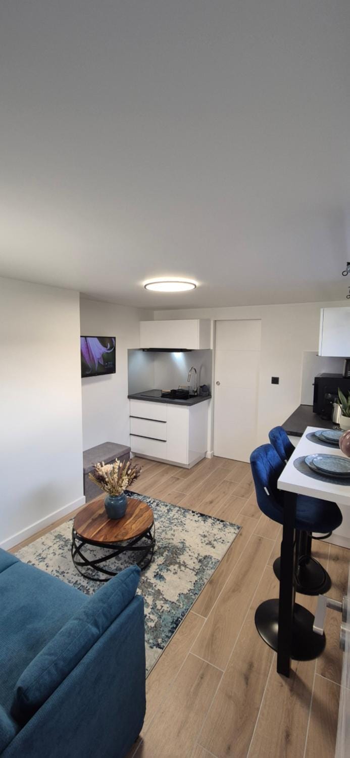 Le superbe Apartment in Thonon-les-Bains