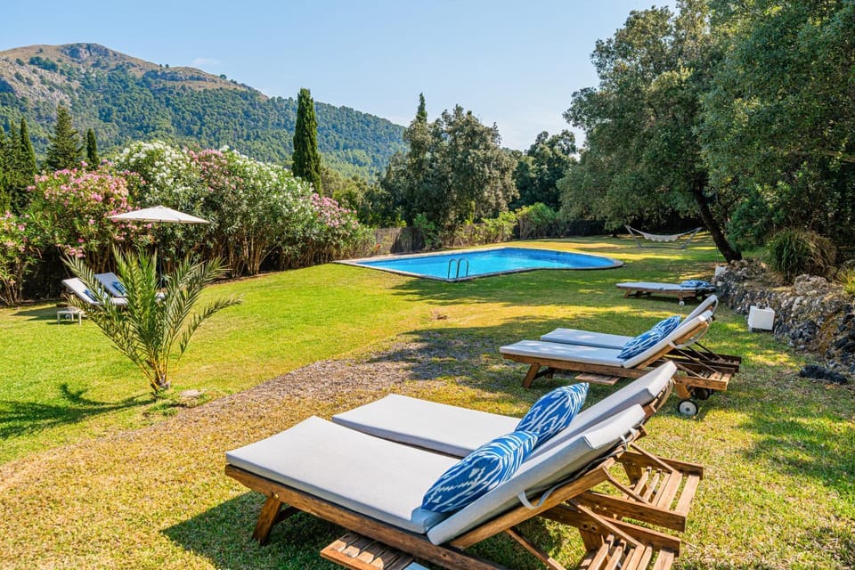 Patio, Garden, Garden view
