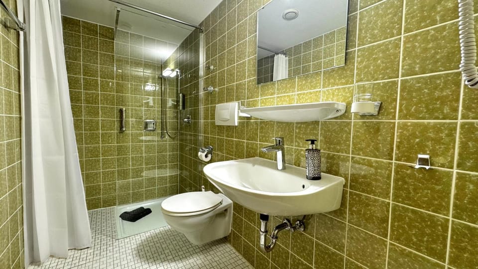 Shower, Toilet, Bathroom, hair dryier