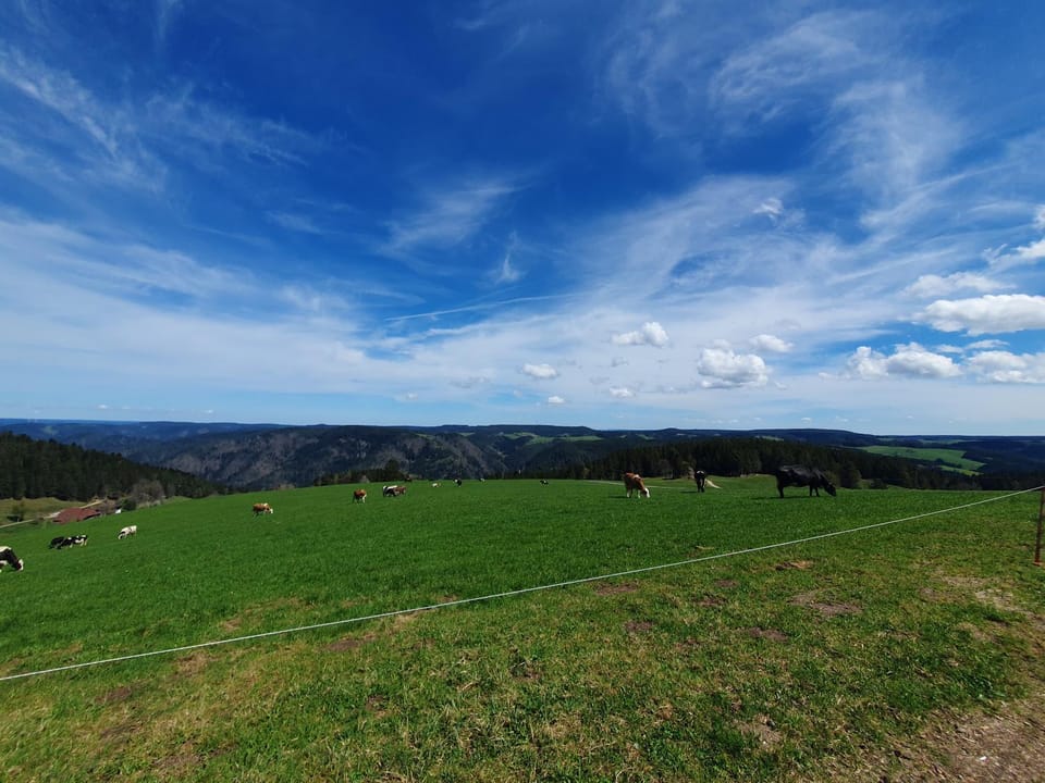 Natural landscape