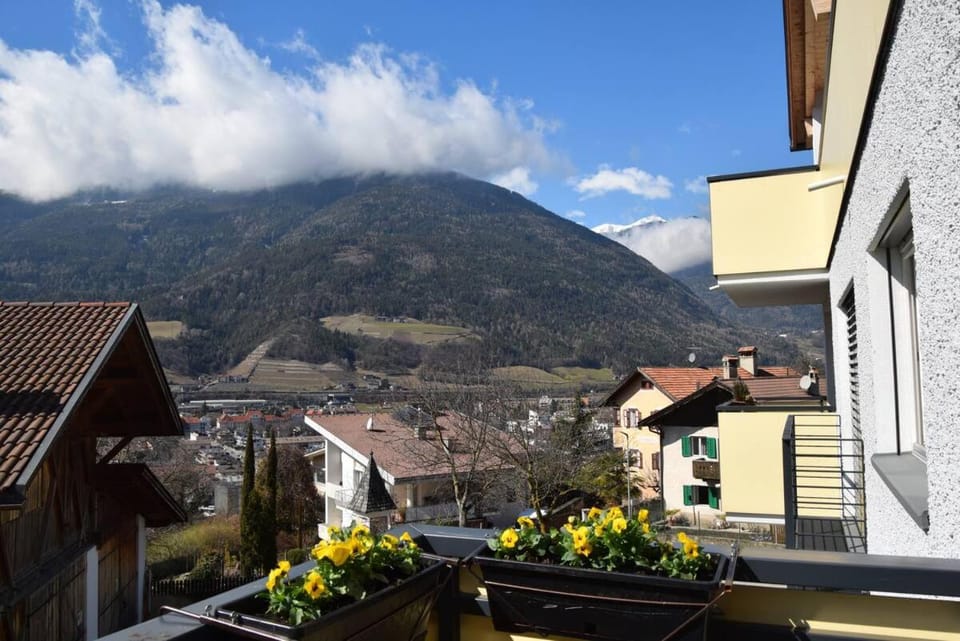 Appartamento Delizioso Apartment in Brixen
