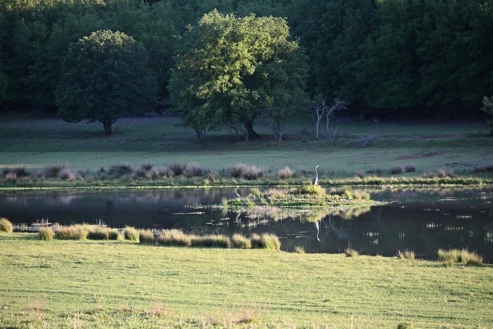 Spring, Natural landscape, Garden