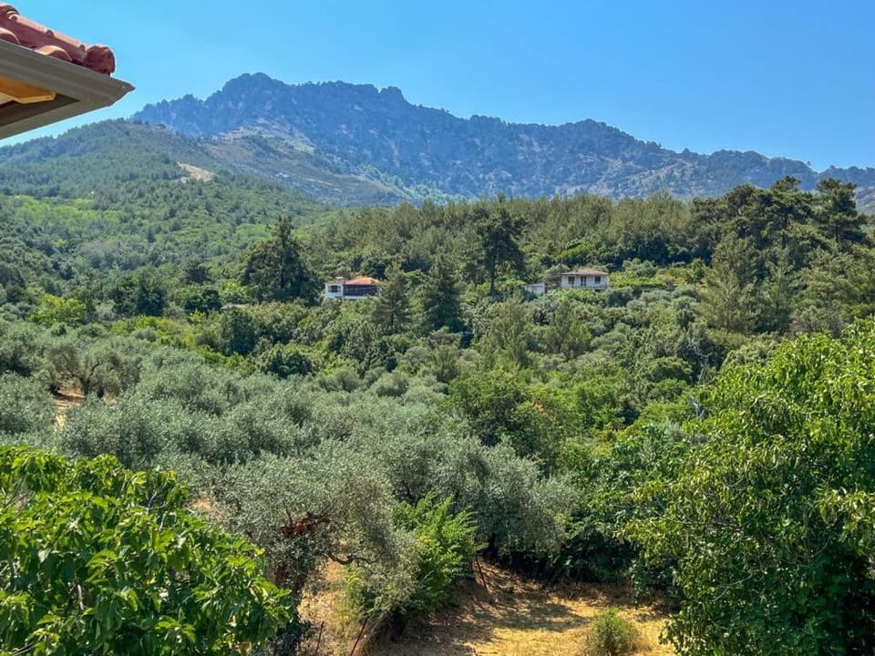 Villa Ftery House in Thasos