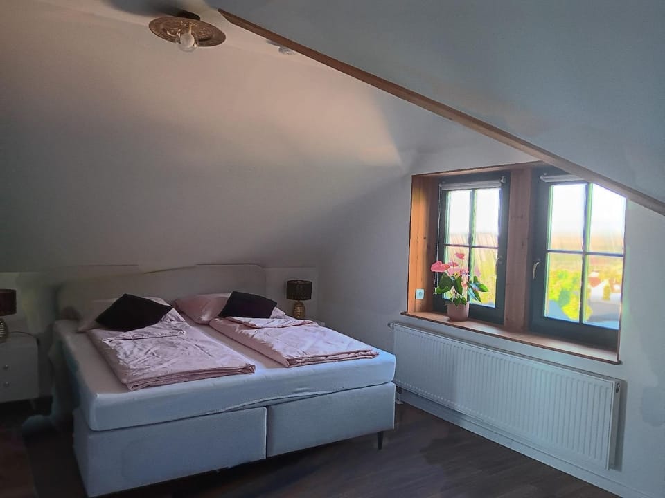 Ferienwohnung Harzteufel Villa in Thale