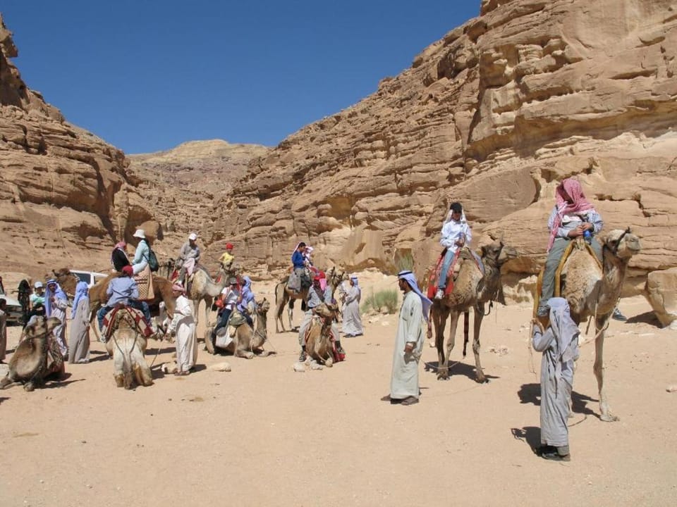 Saint Catherine Camp & Lodge - Moses Mountain Sinai Tours Campground/ 
RV Resort in South Sinai Governorate