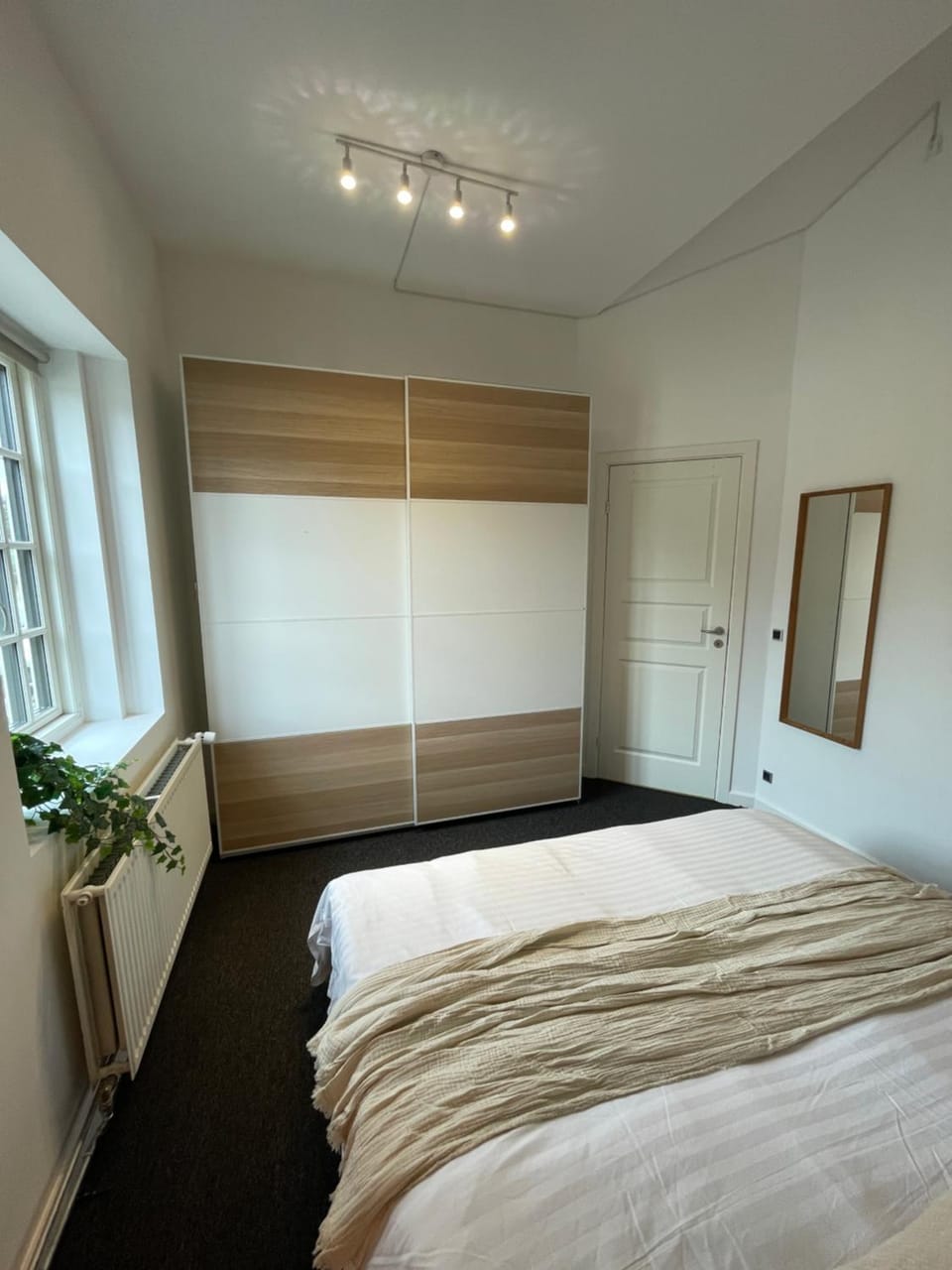 Bed, Photo of the whole room, Bedroom, wardrobe