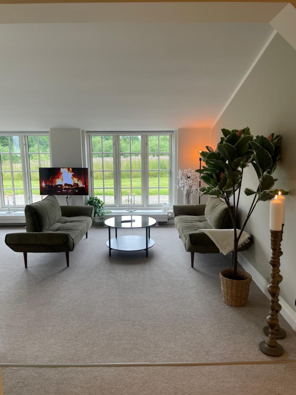 TV and multimedia, Living room, Garden view