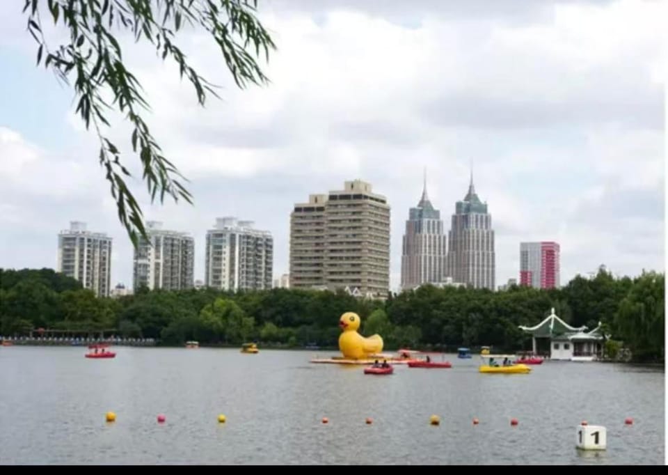 Cozy 1BR 9-Min to Hongqiao NECC Apartment in Shanghai