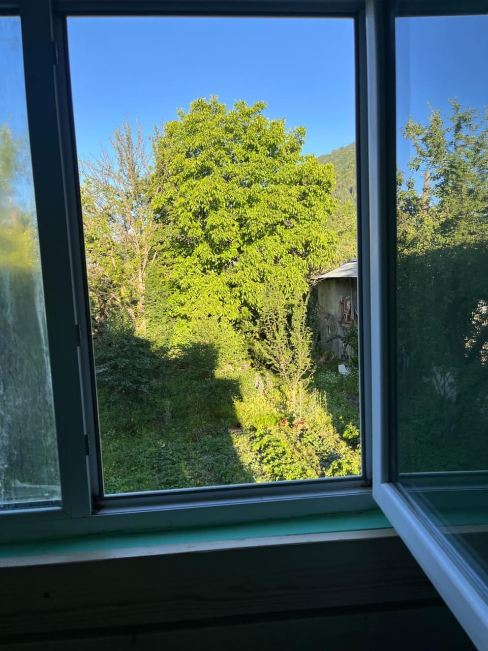 Garden view