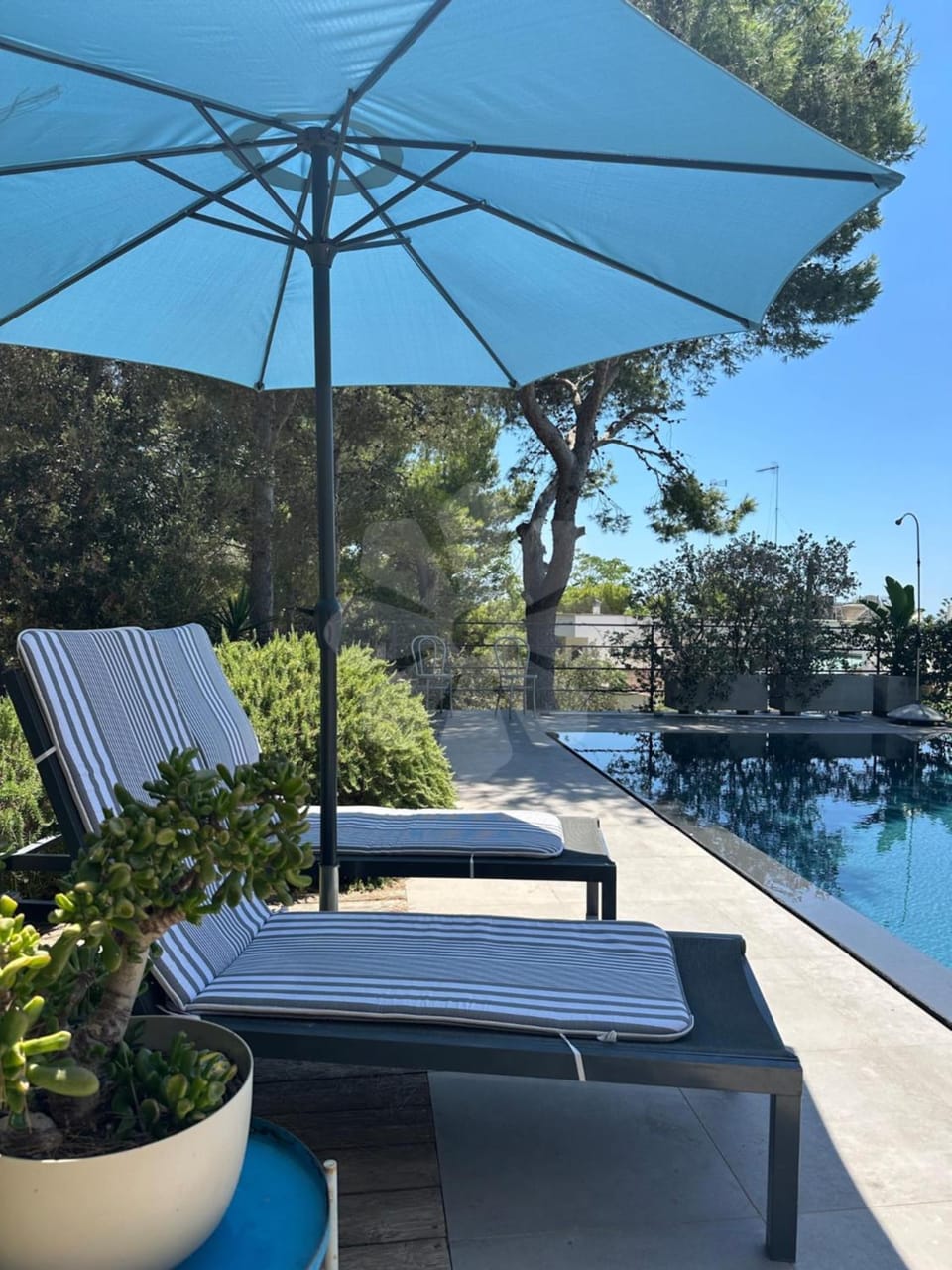 Garden, Swimming pool, sunbed